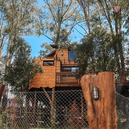 Casa Na Arvore Morada Dos Vagalumes ฟาโฮปิลญา ภายนอก รูปภาพ