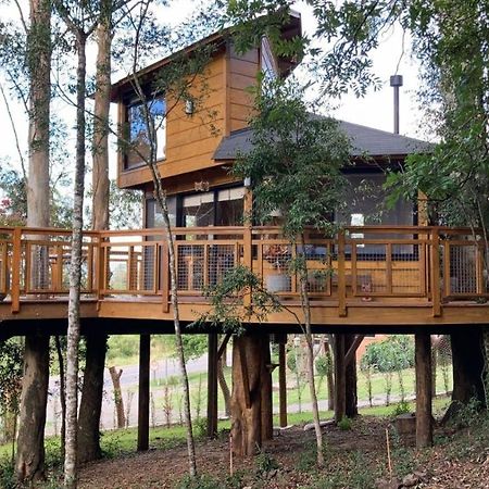 Casa Na Arvore Morada Dos Vagalumes ฟาโฮปิลญา ภายนอก รูปภาพ