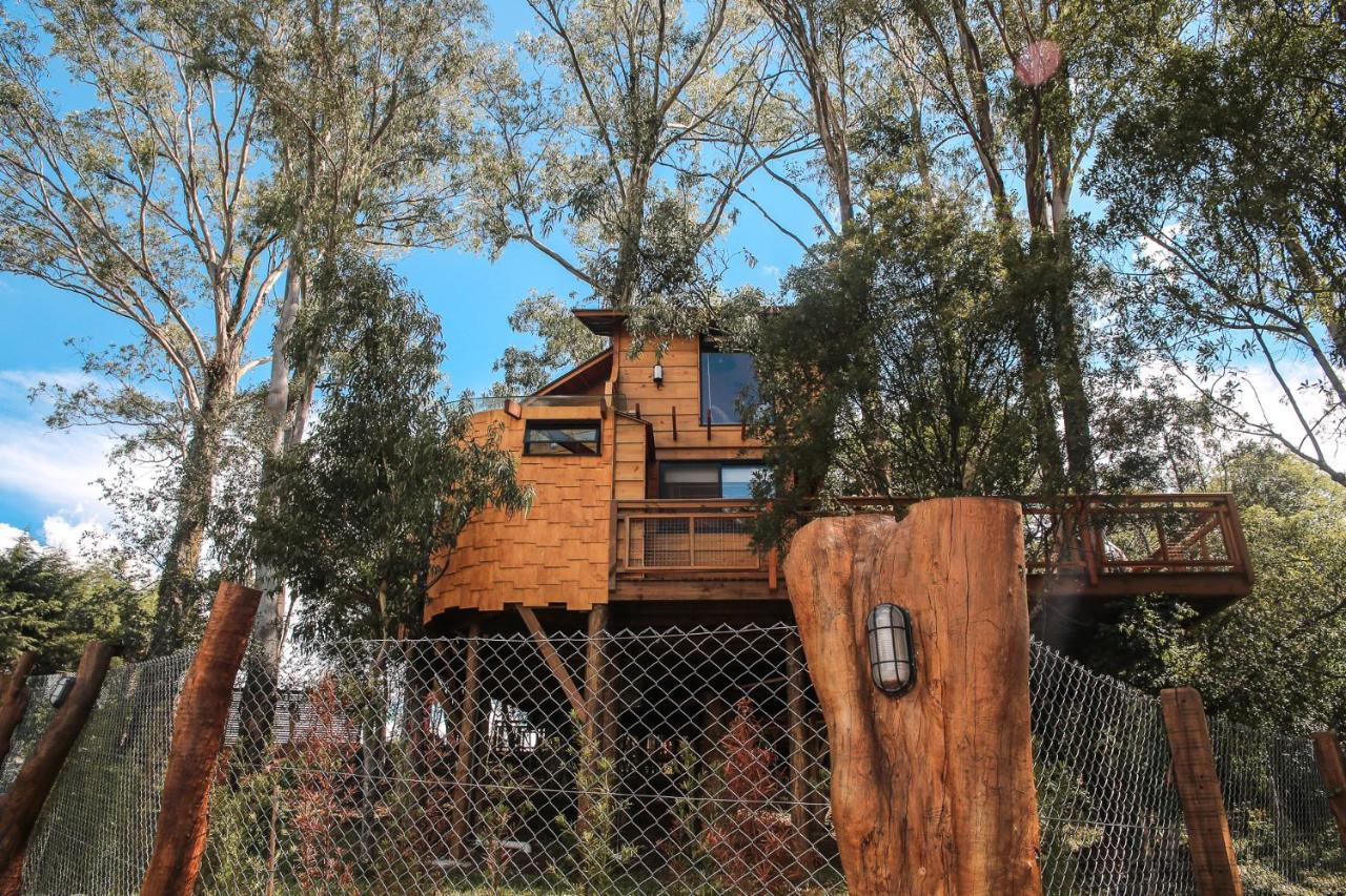 Casa Na Arvore Morada Dos Vagalumes ฟาโฮปิลญา ภายนอก รูปภาพ
