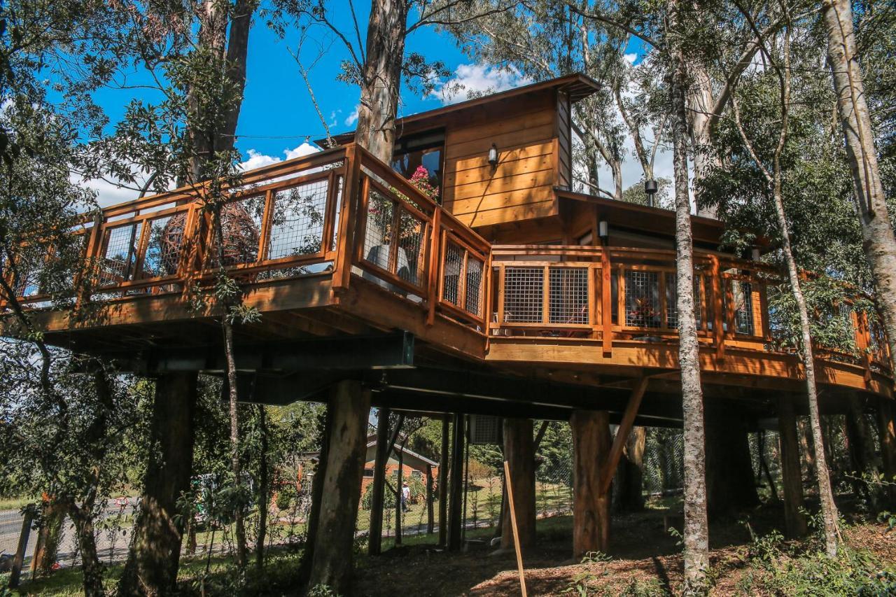Casa Na Arvore Morada Dos Vagalumes ฟาโฮปิลญา ภายนอก รูปภาพ